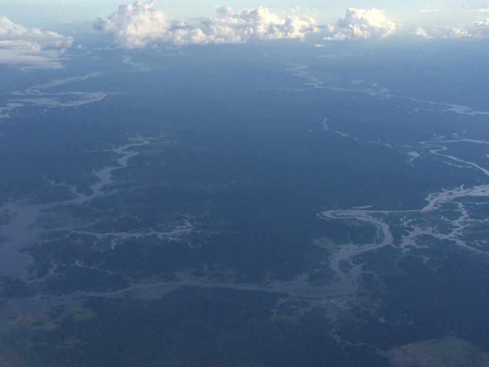 Aerial view of the Amazon 
