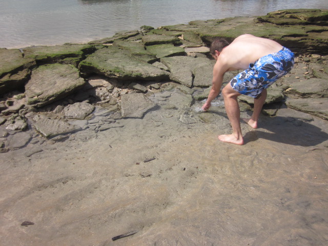 Looking for crabs inside natural pools